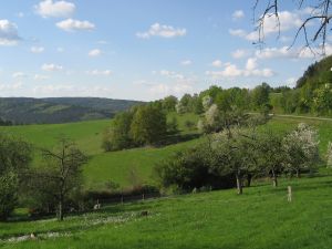 Streuobstwiese