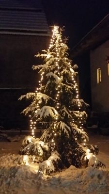 Weihnachtsbaum im Innenhof